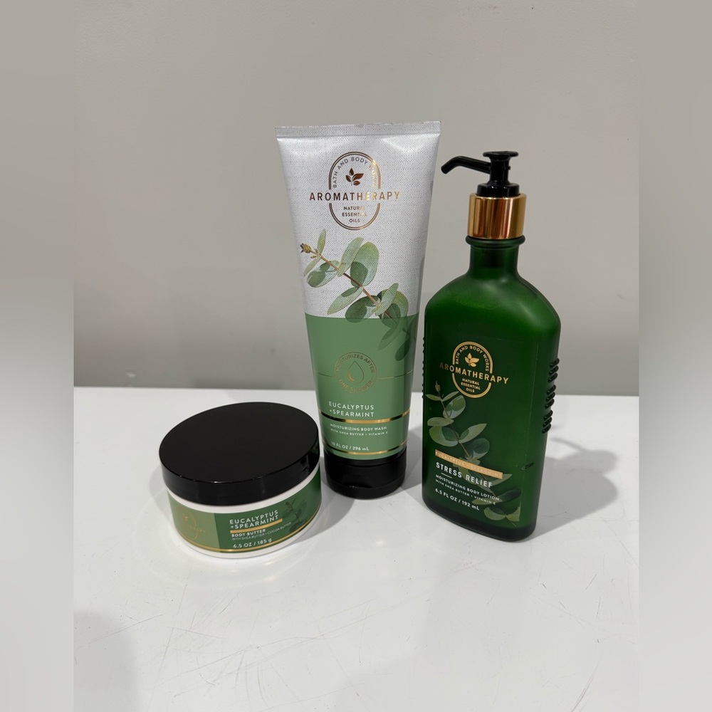 NEW Bath and Body Works Eucalyptus + Spearmint Aromatherapy Bundle  ~